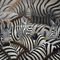 Met de hand gemaakt Abstract Art Canvas Paintings Animal Zebra-de Muurart. van het Drukcanvas