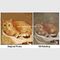 Cat Portrait Oil Painting Hand - schilderde met Textuurdraai Uw Foto in het Schilderen